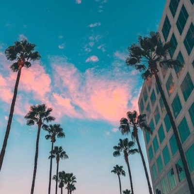 喜欢猛龙的理中客球迷